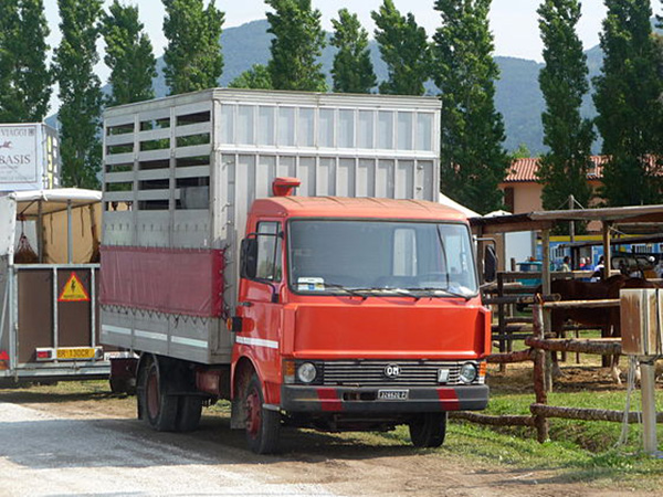 стоимость запчастей для грузовиков Iveco Zeta